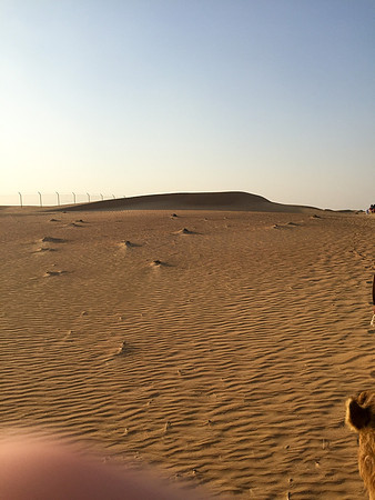 160211-18_DubaiTrip_A0558