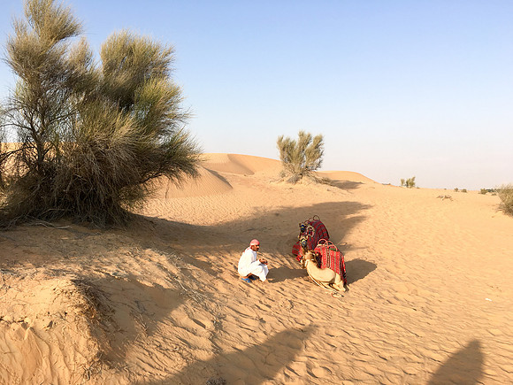 160211-18_DubaiTrip_A0486