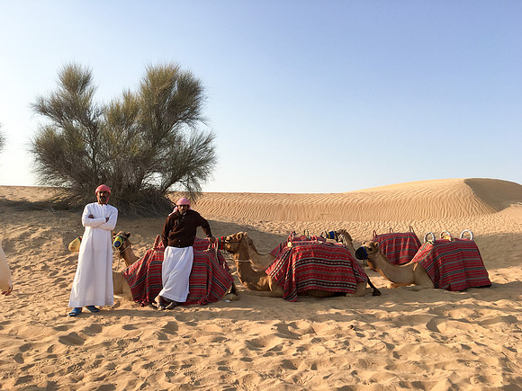 160211-18_DubaiTrip_A0478