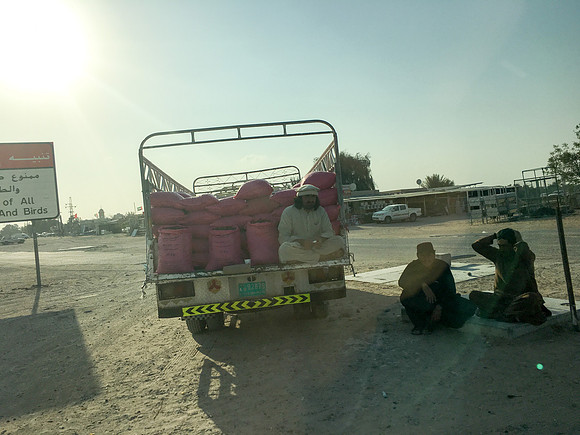 160211-18_DubaiTrip_A0446