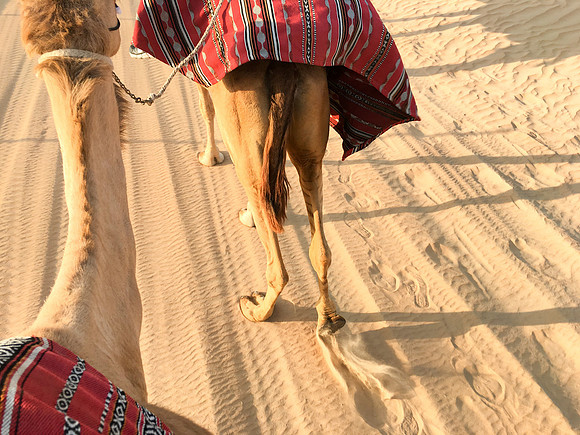 160211-18_DubaiTrip_A0506