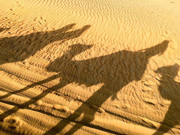 160211-18_DubaiTrip_A0495