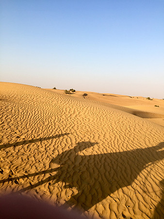 160211-18_DubaiTrip_A0548