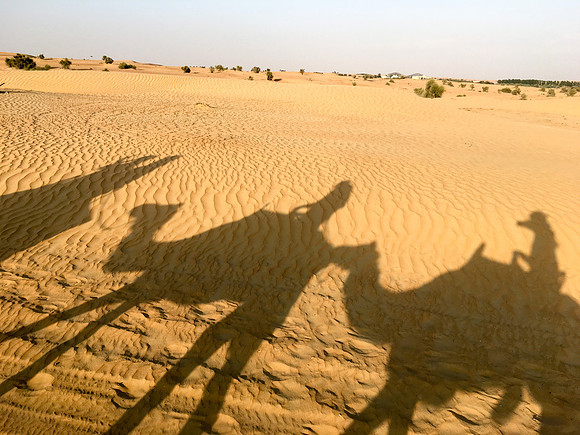 160211-18_DubaiTrip_A0504