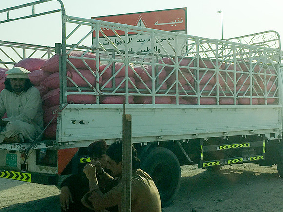160211-18_DubaiTrip_A0445
