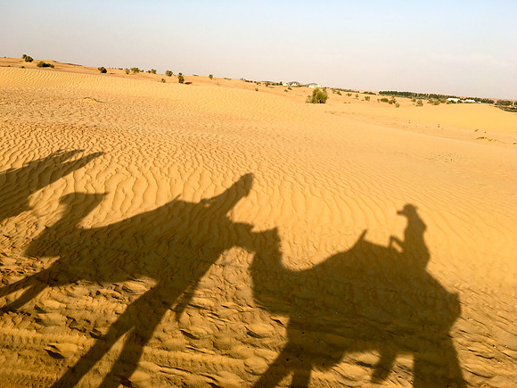 160211-18_DubaiTrip_A0501