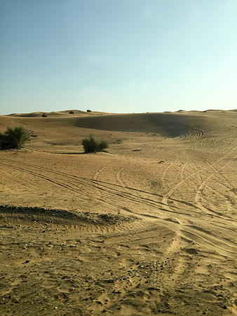 160211-18_DubaiTrip_A0452