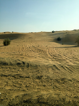 160211-18_DubaiTrip_A0451