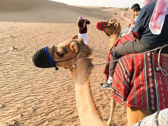 160211-18_DubaiTrip_A0598