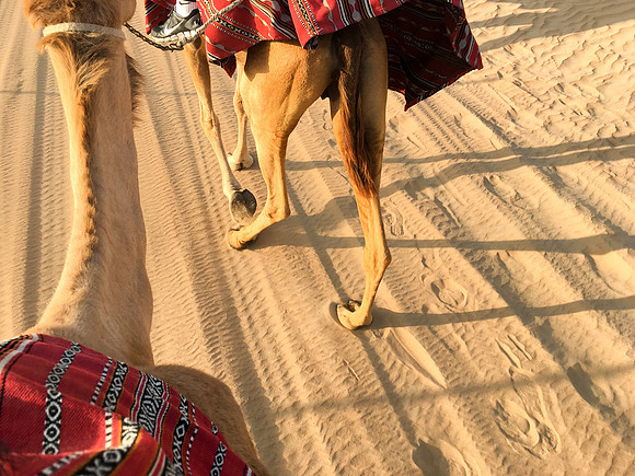 160211-18_DubaiTrip_A0505