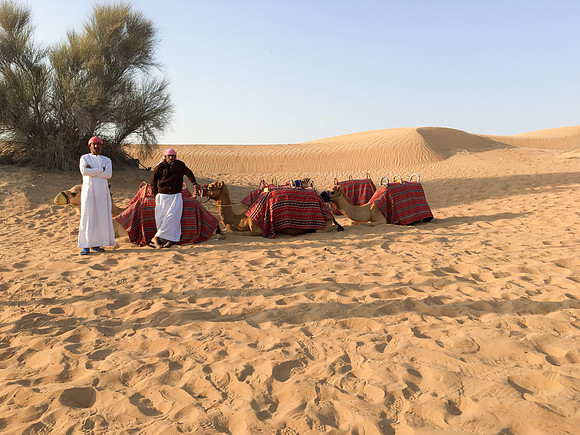 160211-18_DubaiTrip_A0475