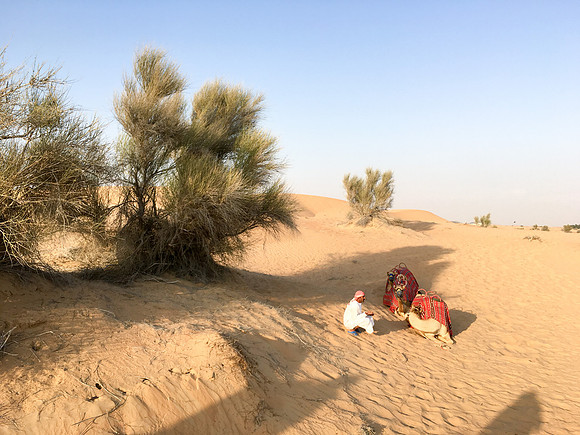 160211-18_DubaiTrip_A0489