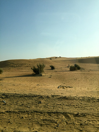 160211-18_DubaiTrip_A0453