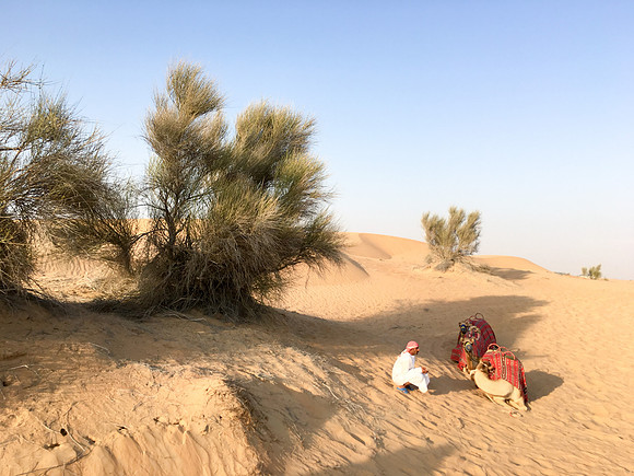 160211-18_DubaiTrip_A0487