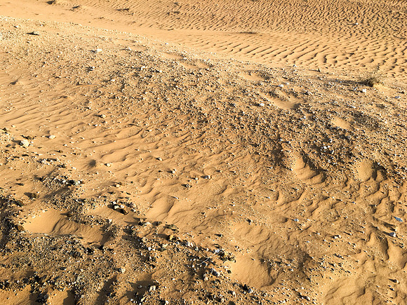 160211-18_DubaiTrip_A0455