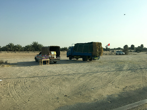 160211-18_DubaiTrip_A0450