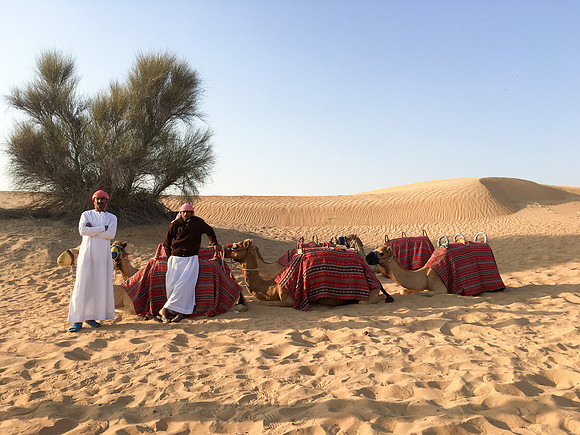 160211-18_DubaiTrip_A0477