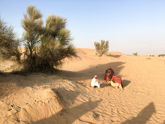 160211-18_DubaiTrip_A0488