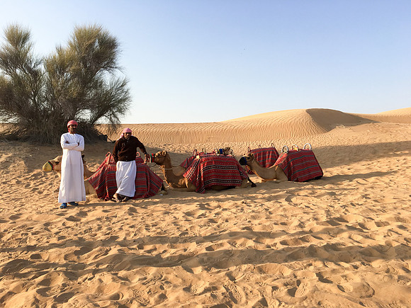 160211-18_DubaiTrip_A0476