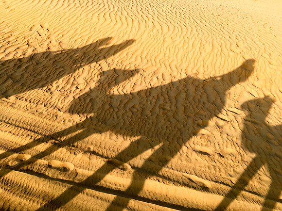 160211-18_DubaiTrip_A0494