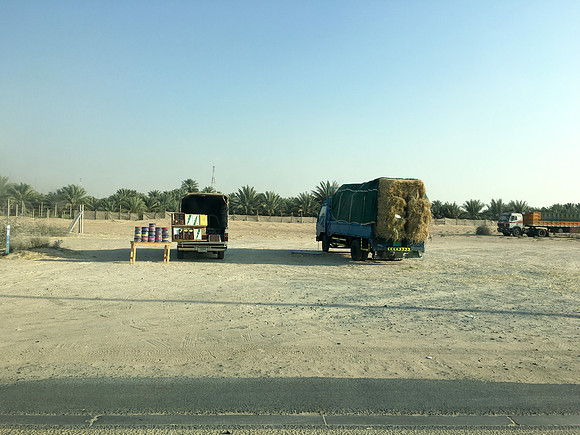 160211-18_DubaiTrip_A0449