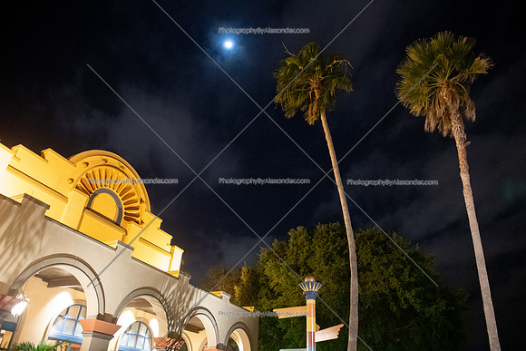 190312-15_PRONTODisneyCoronadoFL_A0873