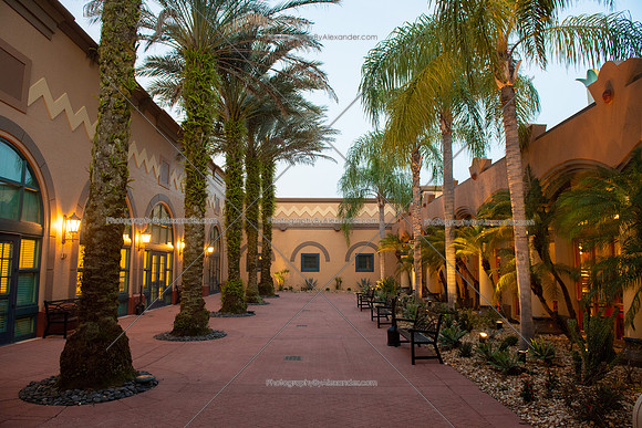 190312-15_PRONTODisneyCoronadoFL_A2778
