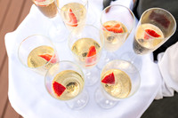 230715_LinnetteMichealTheKnollviewHouseWED_A1735