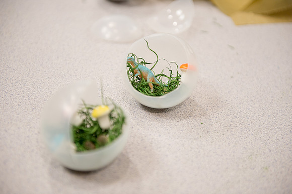 160505_PhillipsAfter5SavingNature_A0152