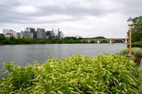 240511_YuliaLitvakBirthdayFiolaMareDC_A0007