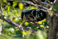 240915_Yulii50thBirthday_A0167