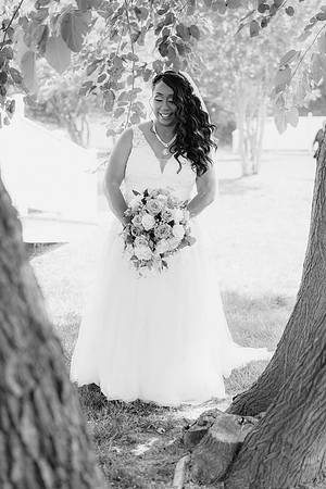 230715_LinnetteMichealTheKnollviewHouseWED_A0652