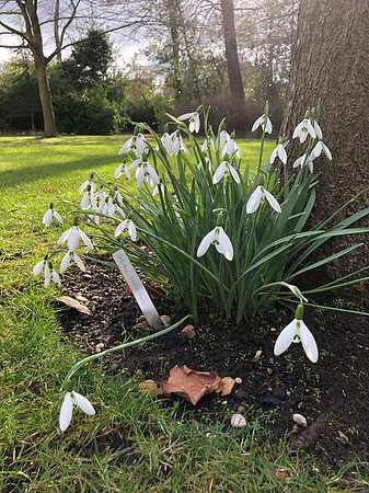 180216-20_OxfordLondonUKTrip_A0043