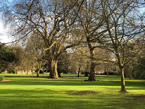 180216-20_OxfordLondonUKTrip_A0052