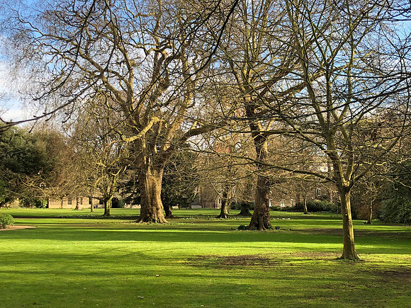 180216-20_OxfordLondonUKTrip_A0053