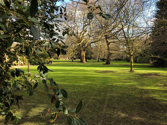 180216-20_OxfordLondonUKTrip_A0058