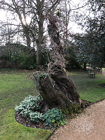 180216-20_OxfordLondonUKTrip_A0059