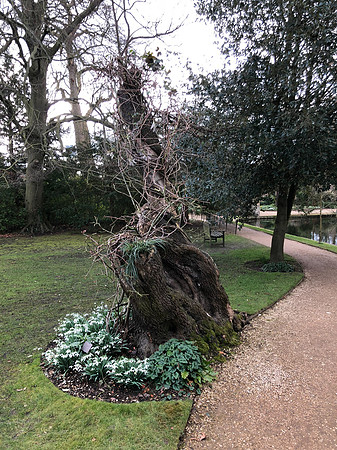 180216-20_OxfordLondonUKTrip_A0060