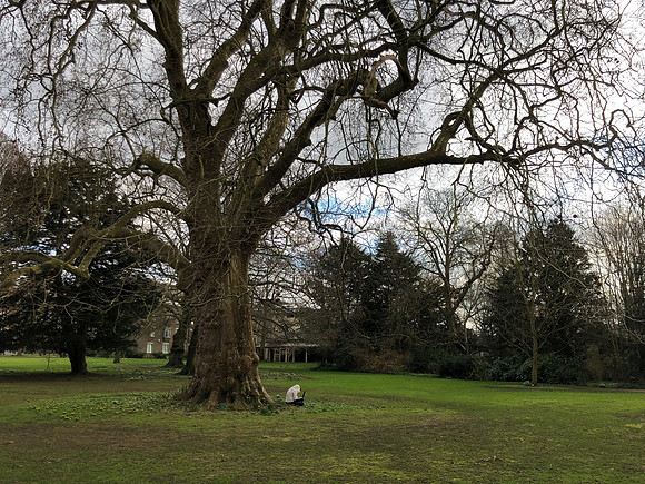 180216-20_OxfordLondonUKTrip_A0067