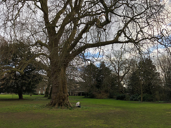 180216-20_OxfordLondonUKTrip_A0068