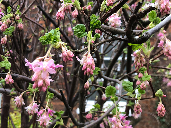 180216-20_OxfordLondonUKTrip_A0107