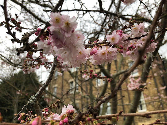180216-20_OxfordLondonUKTrip_A0142