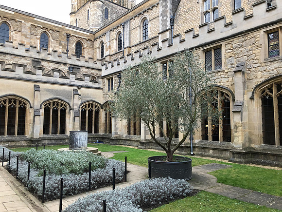 180216-20_OxfordLondonUKTrip_A0264