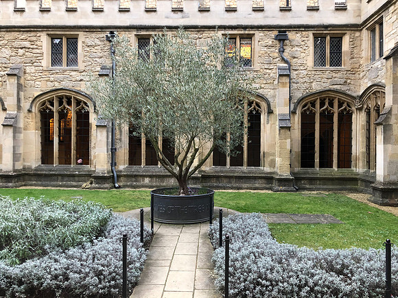 180216-20_OxfordLondonUKTrip_A0429