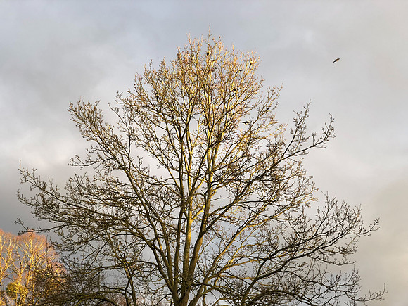 180216-20_OxfordLondonUKTrip_A0532