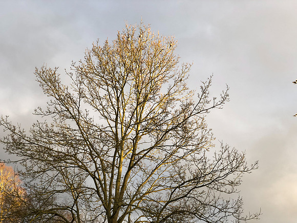 180216-20_OxfordLondonUKTrip_A0534