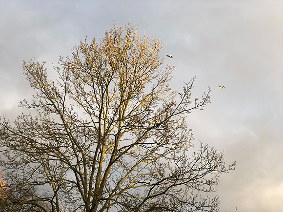 180216-20_OxfordLondonUKTrip_A0535