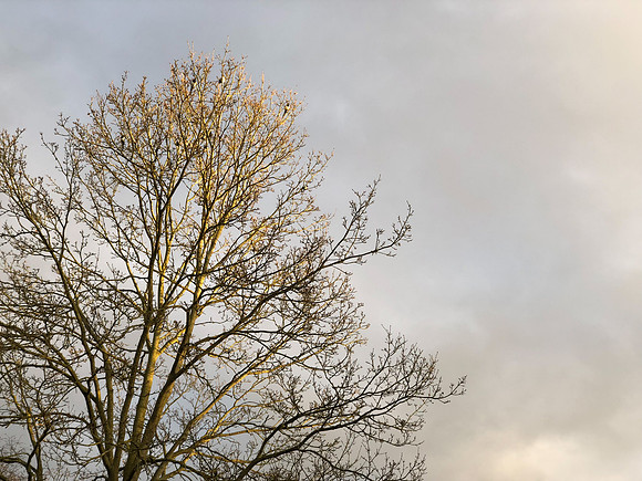 180216-20_OxfordLondonUKTrip_A0537
