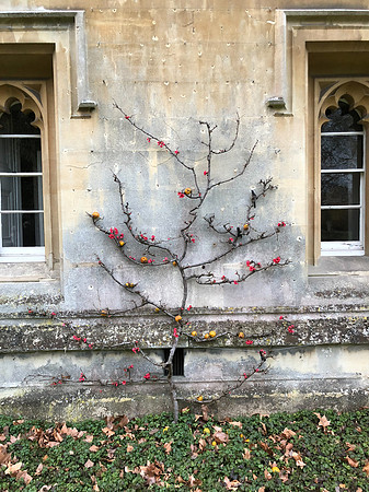 180216-20_OxfordLondonUKTrip_A0564