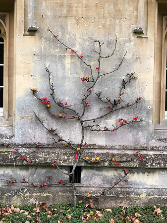 180216-20_OxfordLondonUKTrip_A0567